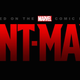Illustration for article titled Evangeline Lilly Almost Quit Ant-Man When Edgar Wright Left